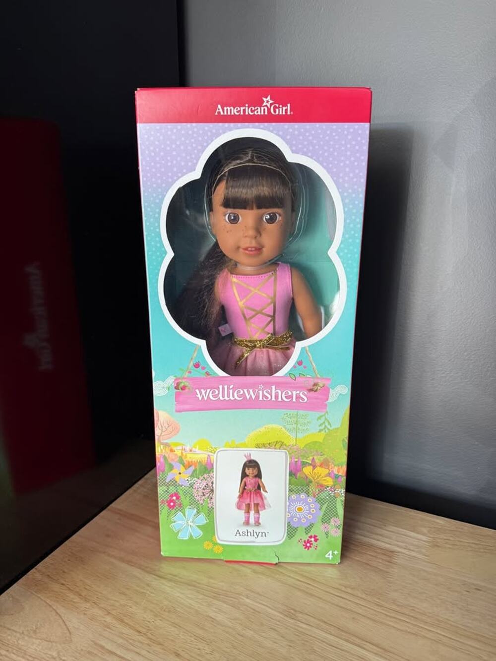 American Girl Welliewishers Ashlyn Doll 14.5" NIB